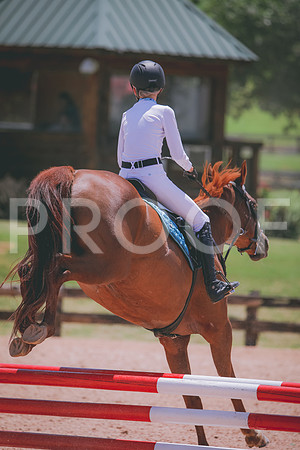 RWP_5595