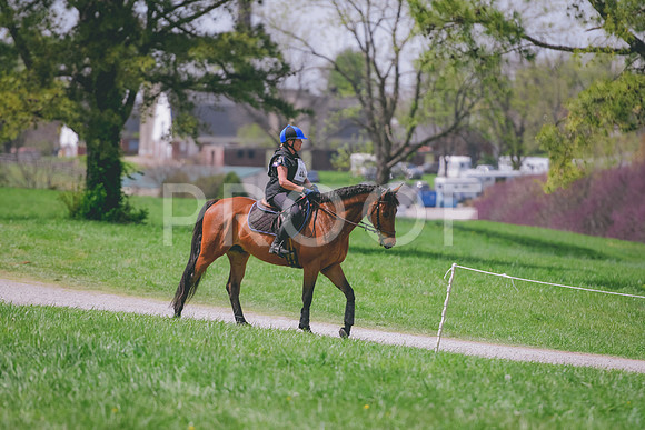 DSC_1944