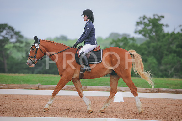 RWP_4231