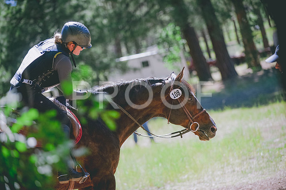 JJS_3697