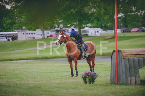 JJS_0743