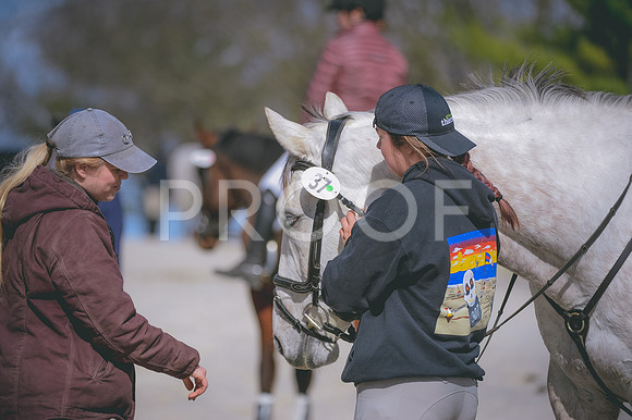 JJS_0217