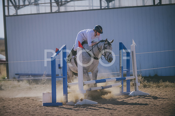 JJS_2646