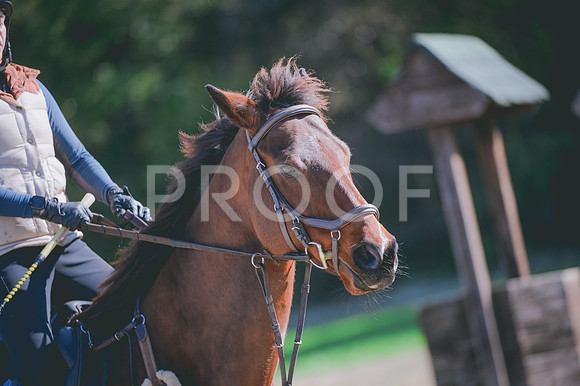 JJS_0603