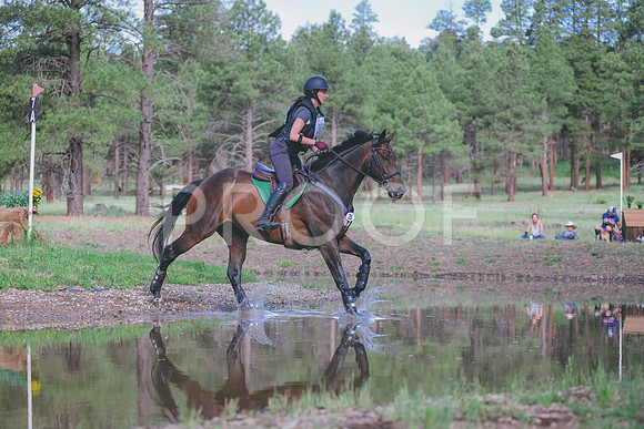 BBB_2709