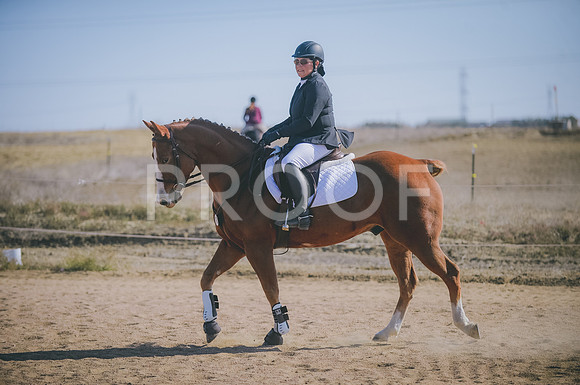 JJS_4181