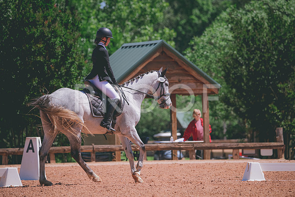 RWP_0193