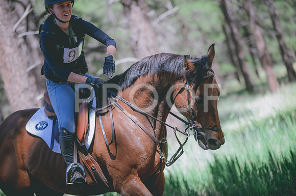 JJS_2256