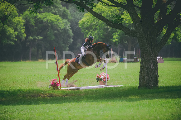 000_2833