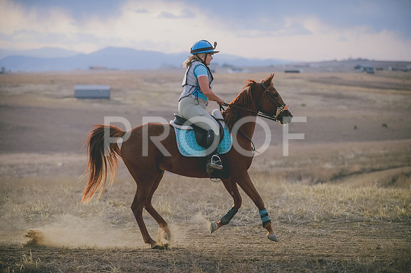 JJS_6245