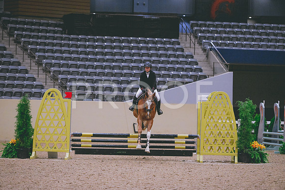 TLS_0439