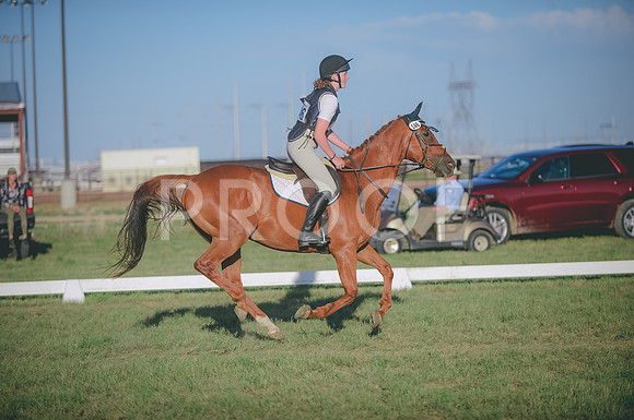 JJS_3915