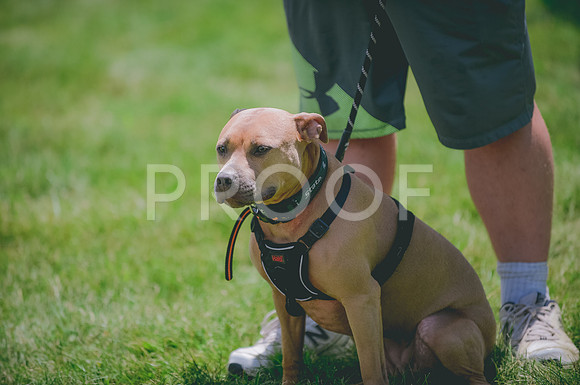 JJS_5752