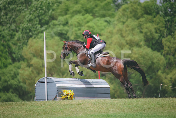 RWP_2831
