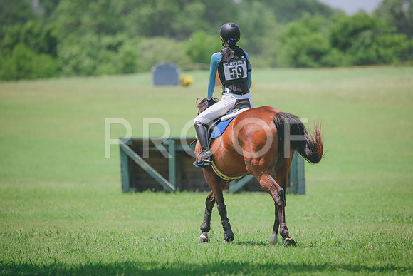 RWP_3791