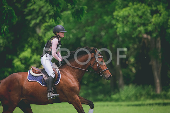 RWP_3562