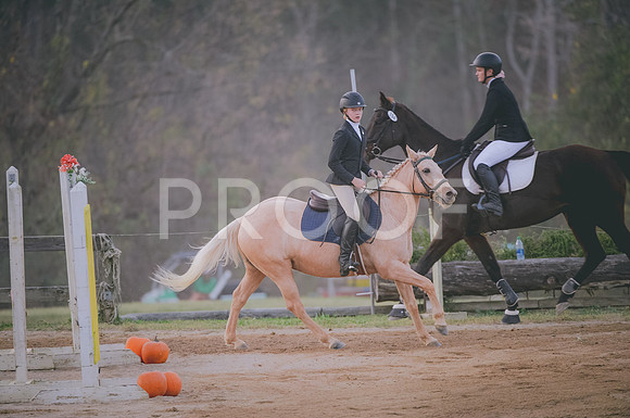 JJS_4017