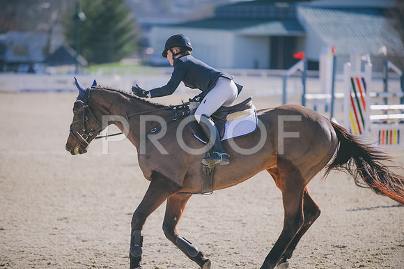 JJS_1613