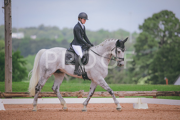 RWP_4354
