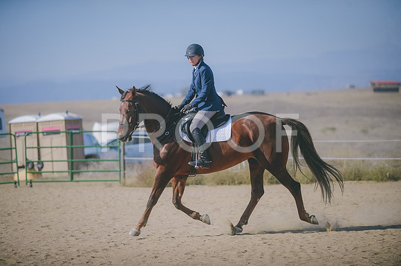 JJS_3650A