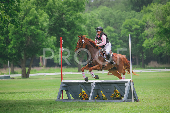 RWP_2288