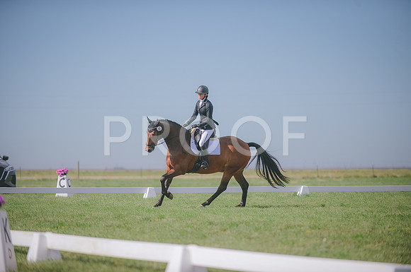 JJS_8618
