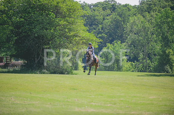JJS_2951