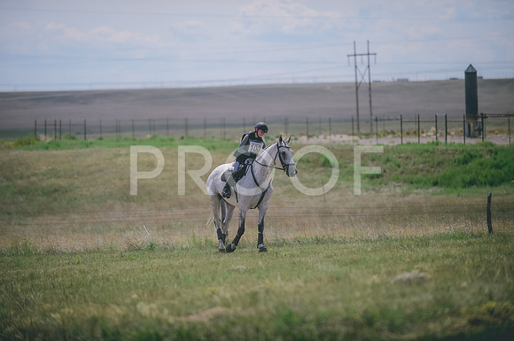 JJS_1228