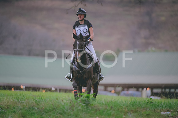 JJS_0495