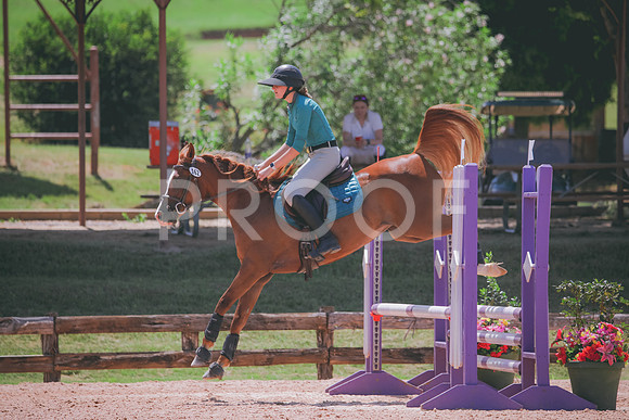 RWP_5377