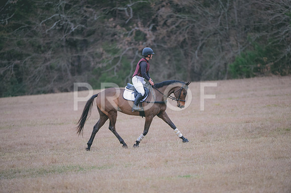 JJS_7044