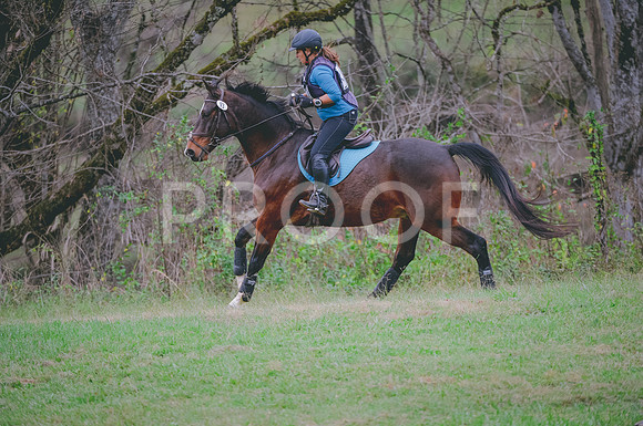 JJS_2102