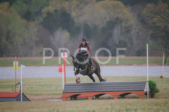 RWP_8580
