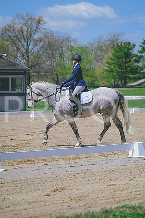 DSC_9338 copy