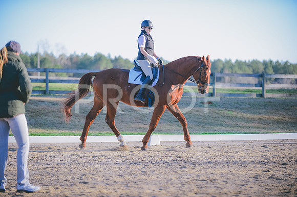 JJS_5885