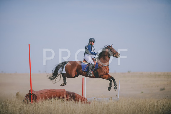 JJS_3435