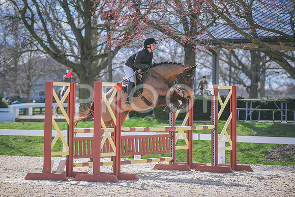 DSC_0932 copy