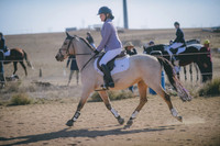 JJS_3429