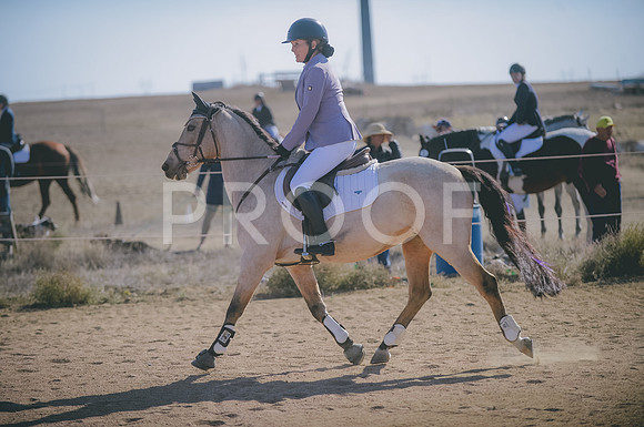 JJS_3429