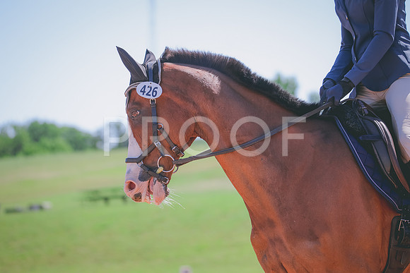 RWP_0059