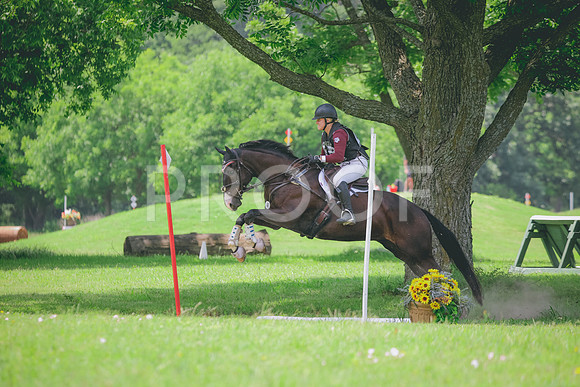 RWP_3131