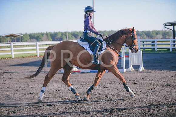 JJS_7618