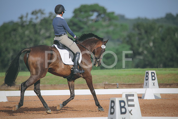 RWP_4382