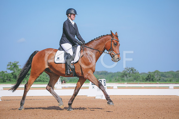 RWP_3953