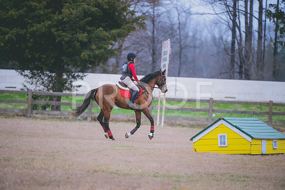 JJS_3457