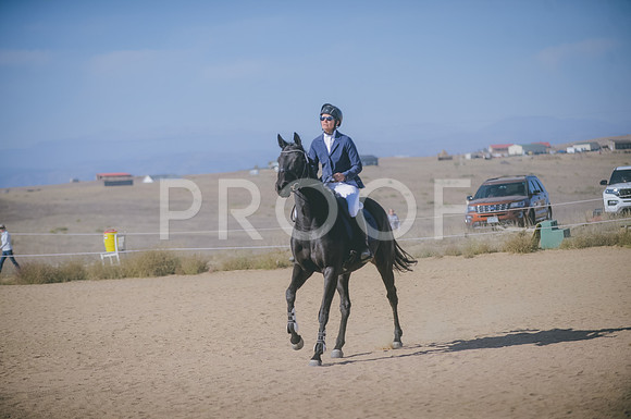 JJS_2941