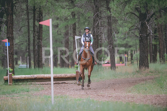 JJS_3641