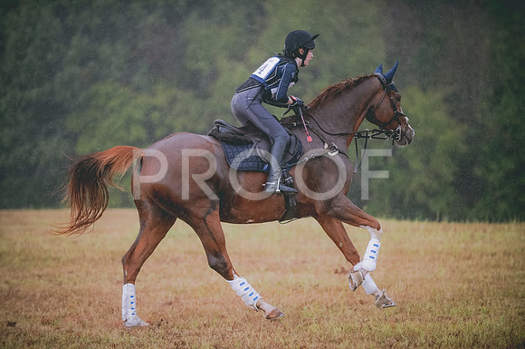 JJS_3547