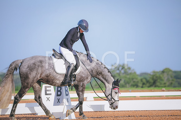RWP_3656