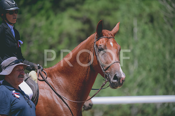 JJS_1083A